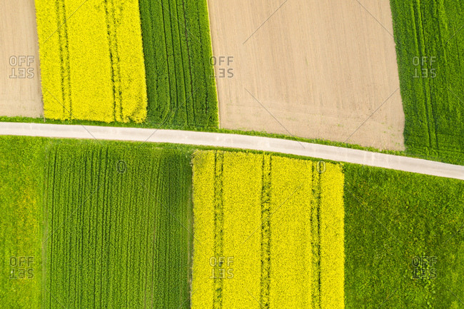 Germany- Baden-Wuerttemberg- aerial view of fields with country lane