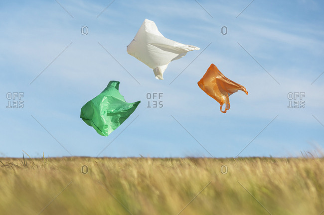 Three plastic bags floating above the meadow