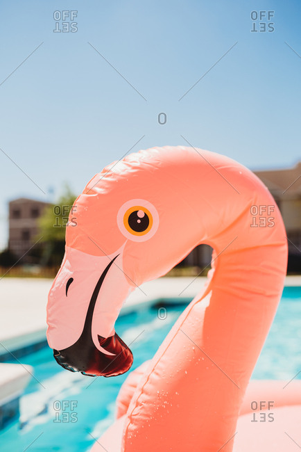 Pink flamingo pool float