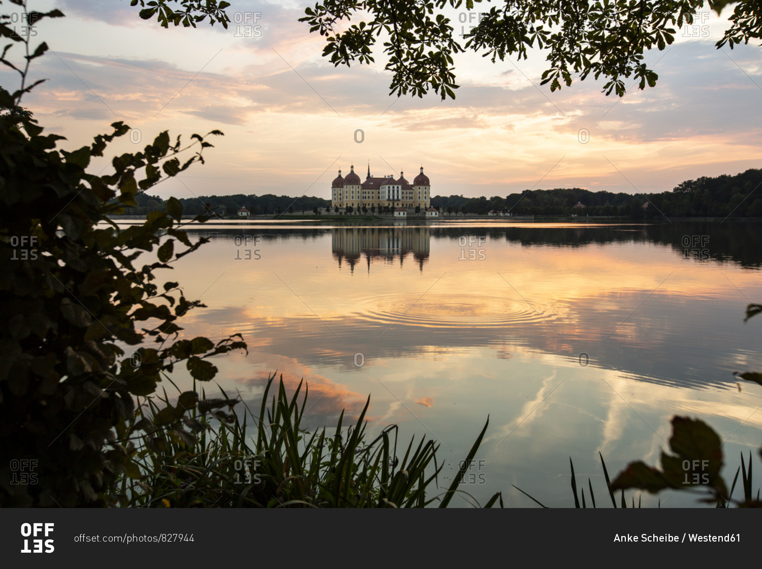 Germany- Saxony- Moritzburg Castle at castle pond in the evening