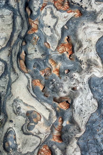 Overhead view of tide pool rocks with unique colors and patterns