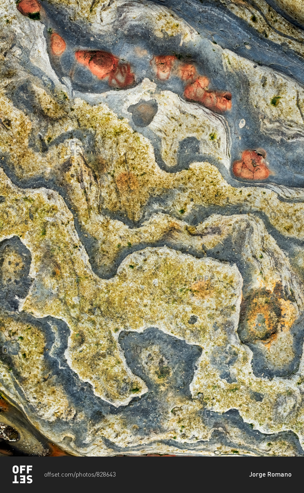 Abstract view of tide pool rocks with unique colorful patterns