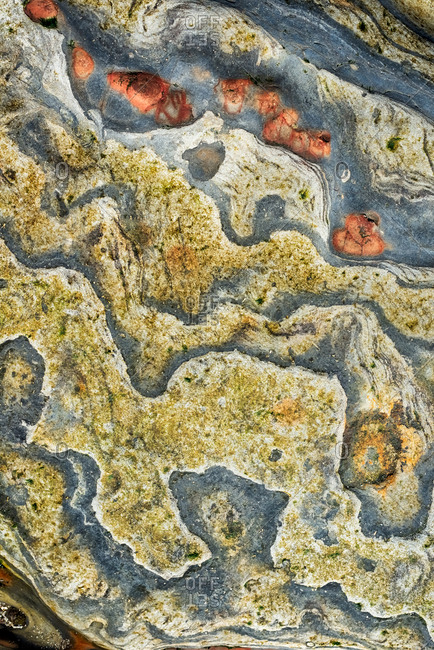 Abstract view of tide pool rocks with unique colorful patterns