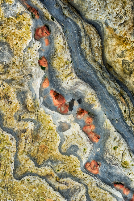 Overhead view of tide pool rocks with unique colorful patterns