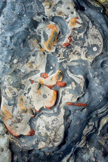 High angle view of tide pool rocks with unique colorful patterns