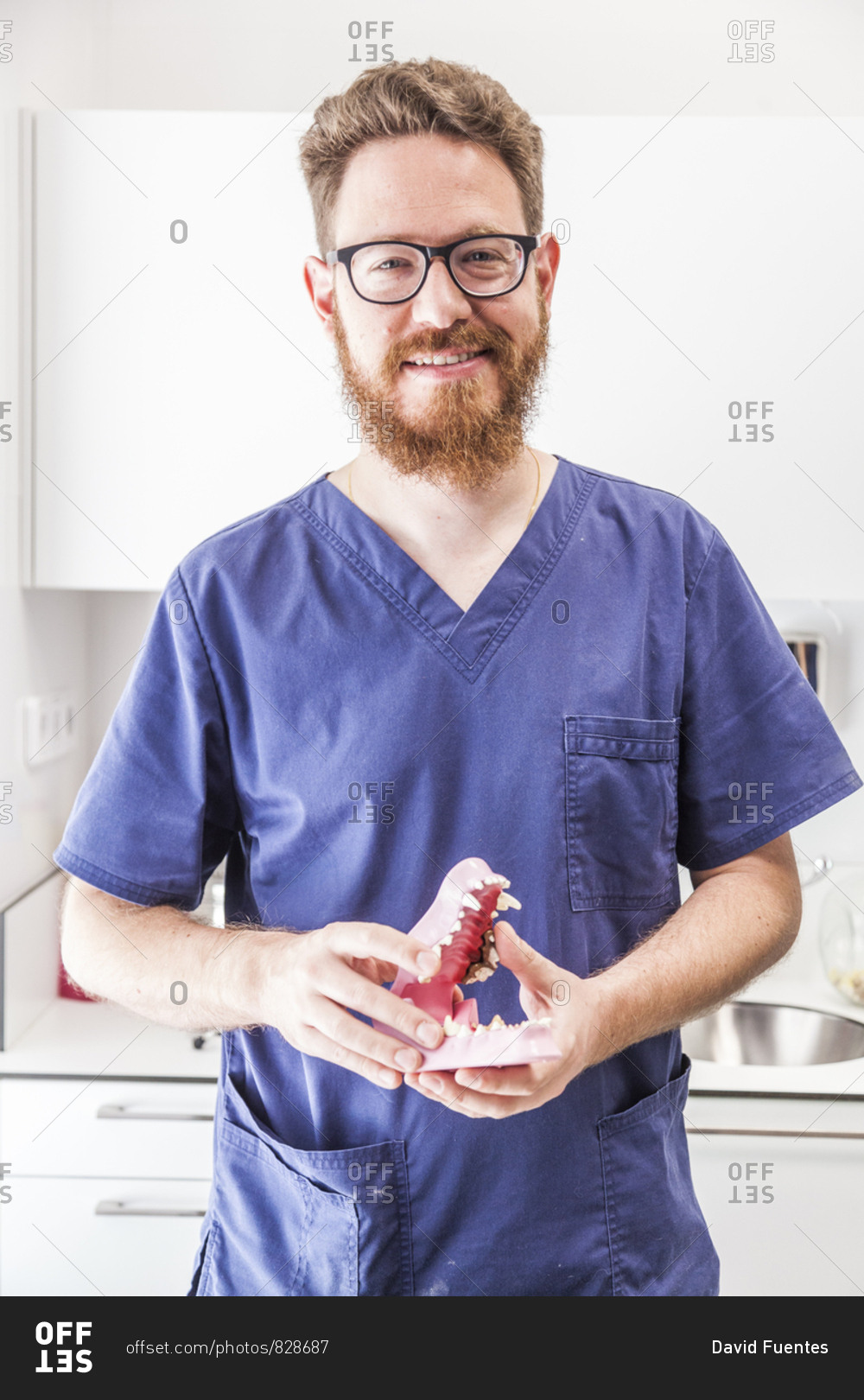 Smiling male redhead veterinarian poses with a canine dental chart in veterinary practice