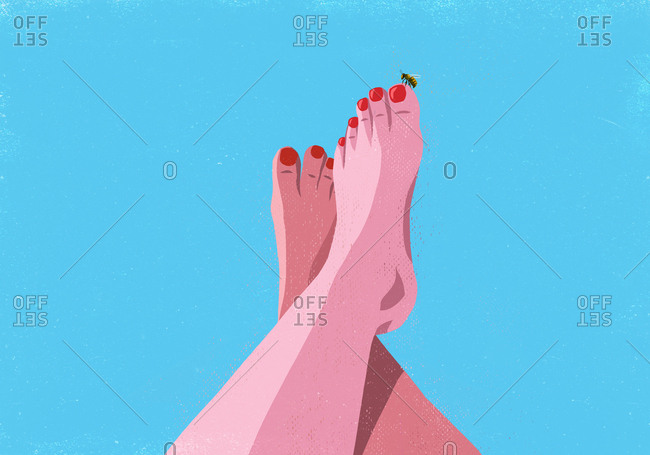 Bumble bee landing on big toe of sunburned woman