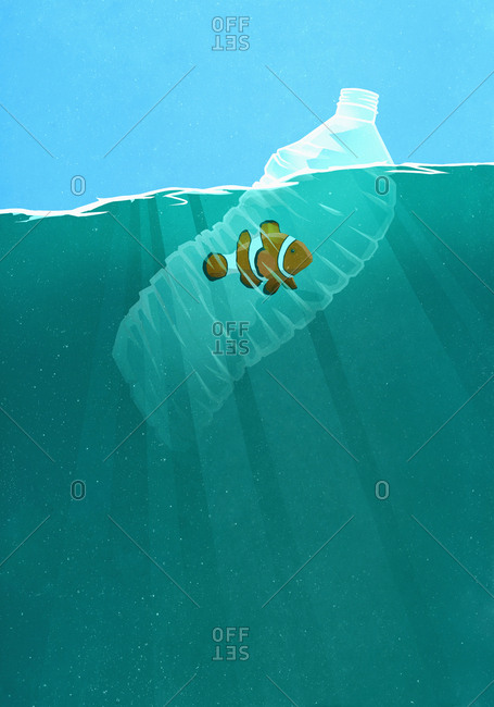 Fish trapped in plastic water bottle in ocean