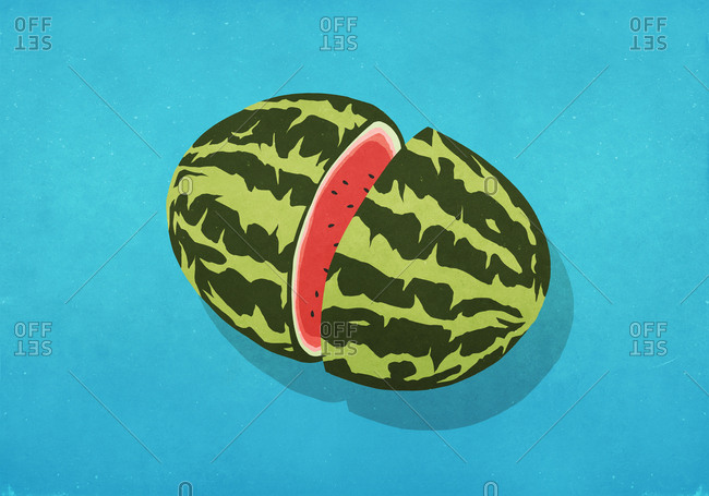 Split watermelon on blue background