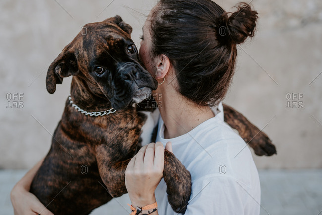 why do boxer dogs hug