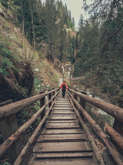 Back view of female tourist admiring stunning view of Alps while walking on hiking path in Dolomites, Italy