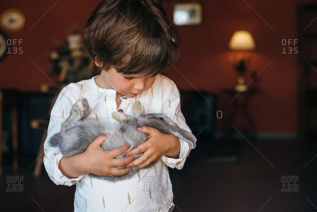 Adorable little boy golfing cute fluffy gray bunny standing in daylight at home