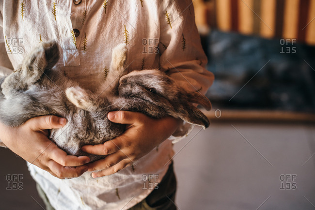 Crop view of anonymous little boy golfing cute fluffy gray bunny standing in daylight at home