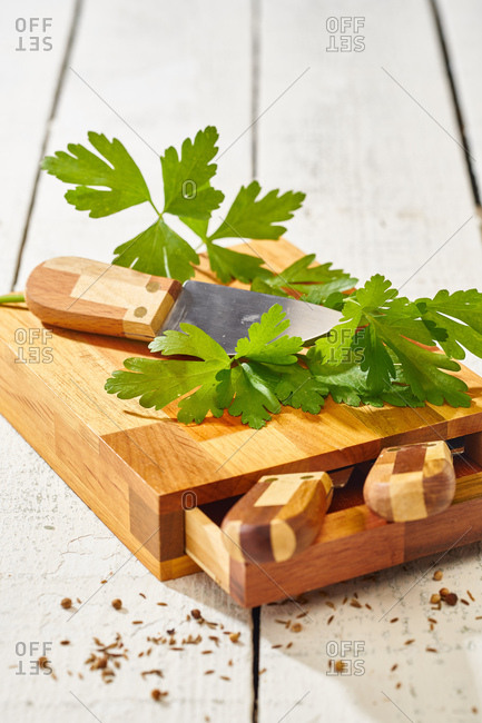 Ripe green parsley and sharp knife on wooden cutting board set