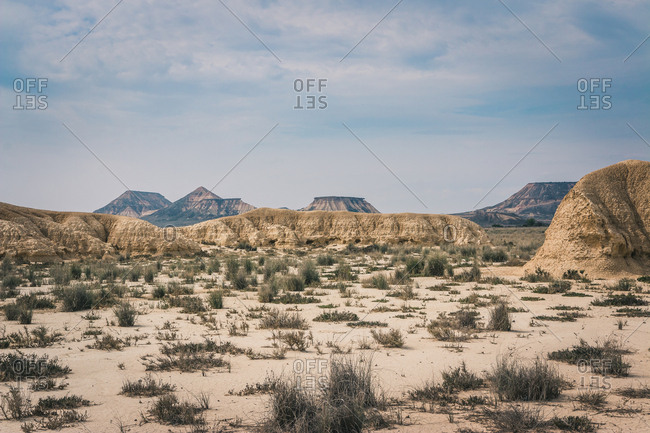 Desert landscape with dry vegetation on background of blue sky