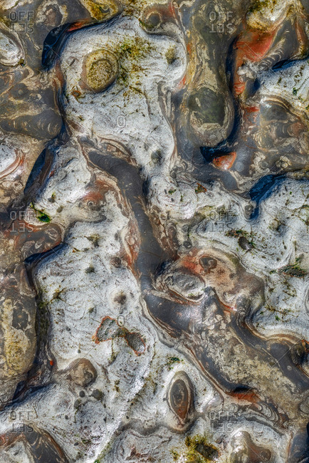Close-up view of tide pool rocks with unique colors and patterns