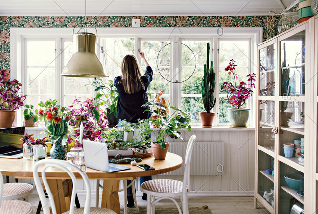 Rear view of woman closing window's latch in room at home