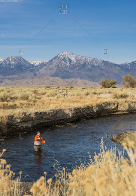 Early morning fly fishing on the Owens River, Eastern Sierra