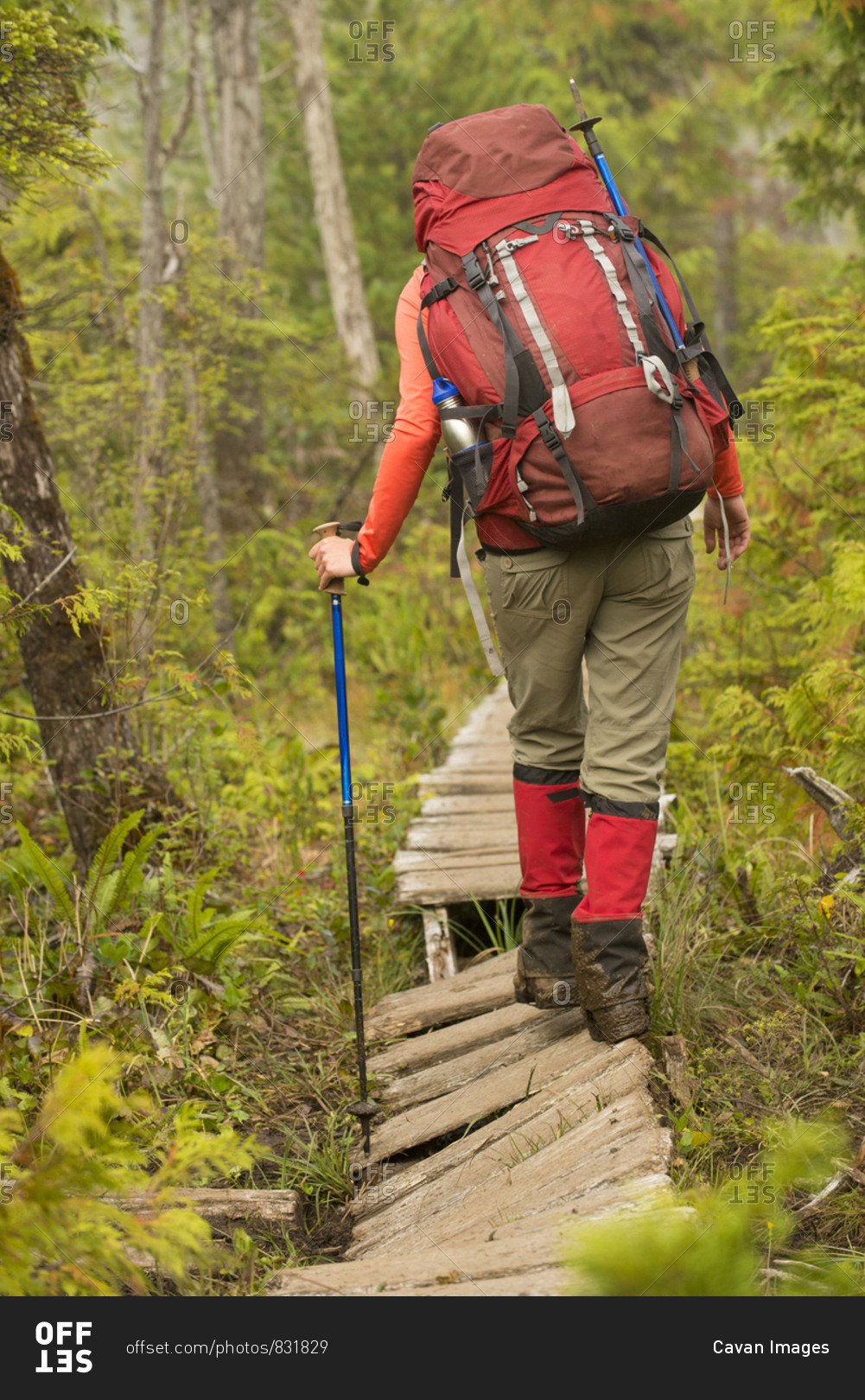 Backpacker hiking along boardwalk, West Coast Trail, British Columbia, Canada