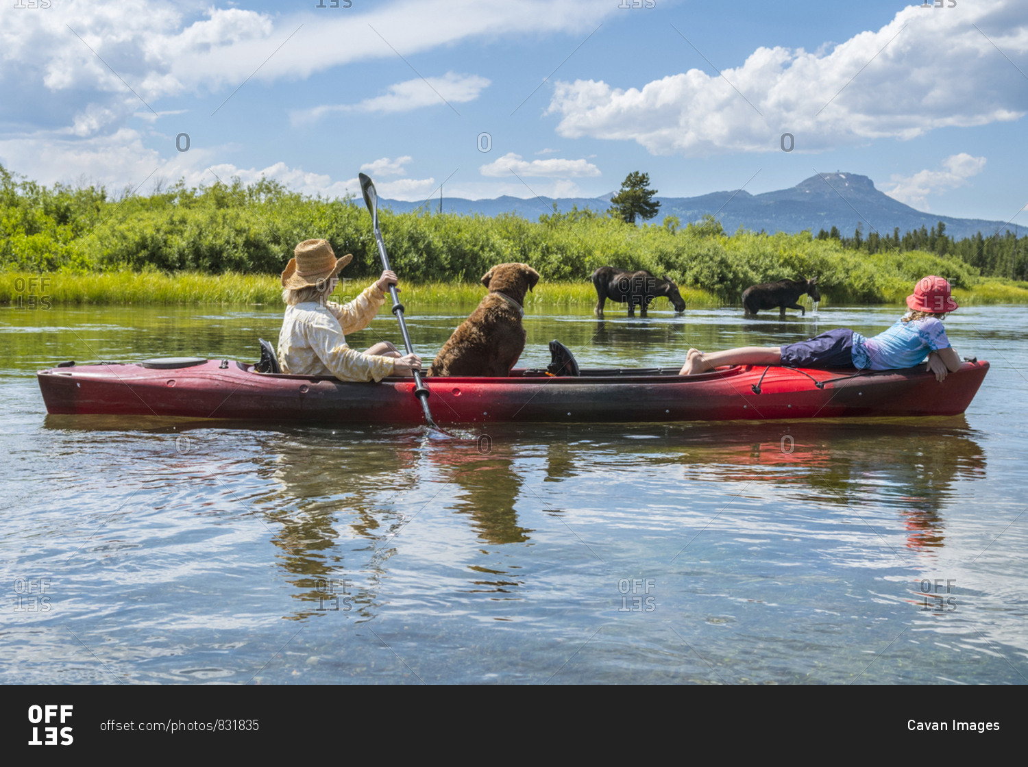 Mother, daughter and dog kayaking past moose on riverbank, Henrys Fork, Snake River,â€ Rexburg, Idaho, USA
