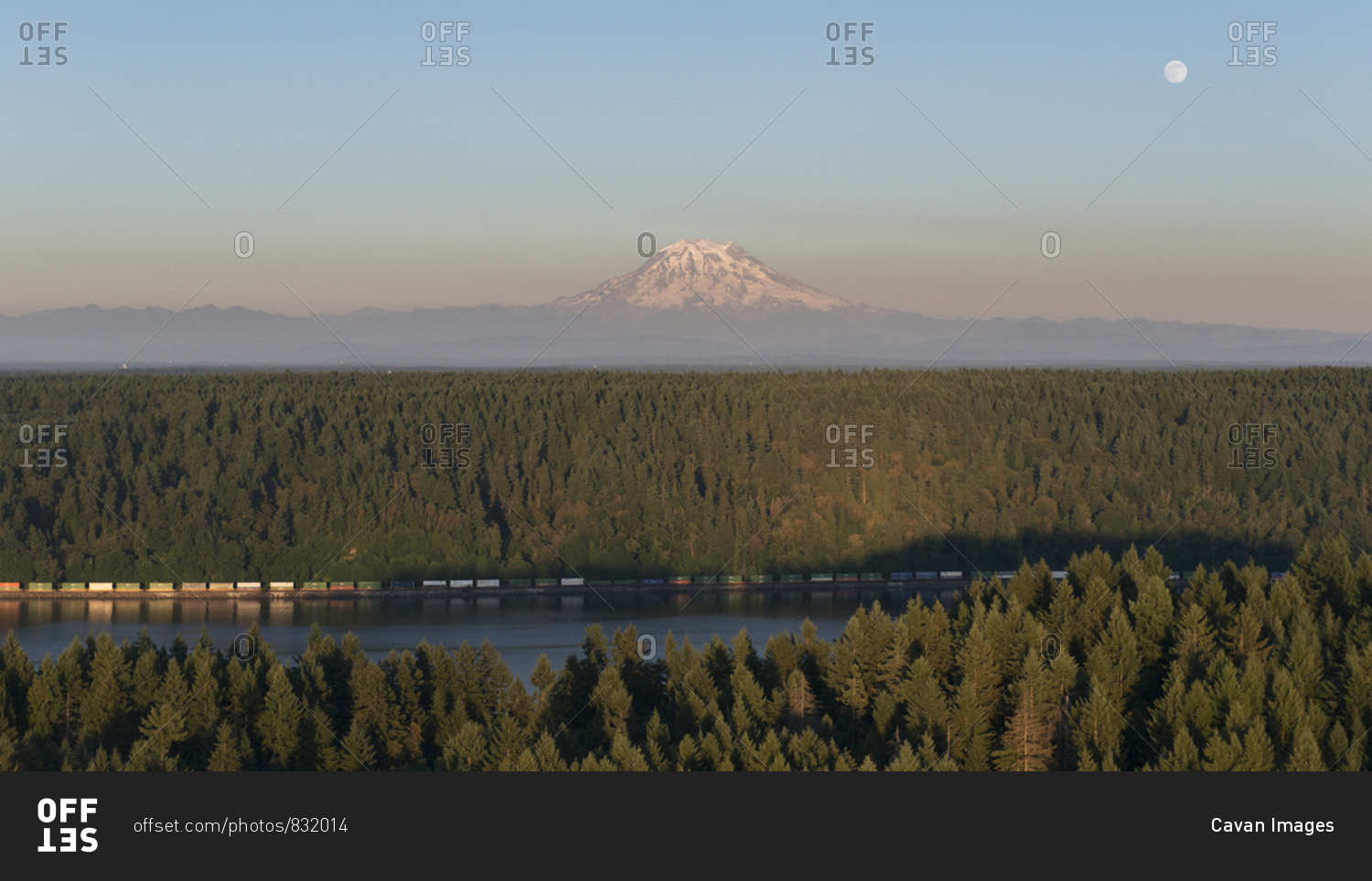 A train runs next to Puget Sound in front of Mount Rainier and a full moon through the forest.