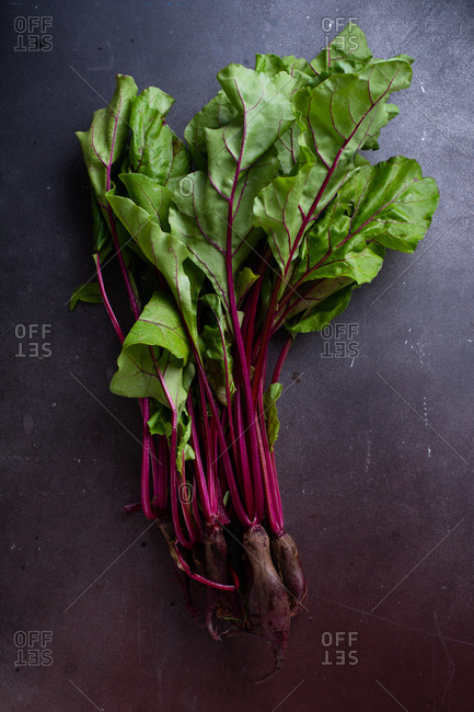 Young beetroot green tops fresh picked from the farm