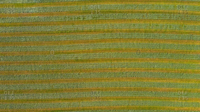 Aerial view of an agricultural field after harvest in late autumn in Naperville, IL in the United States.