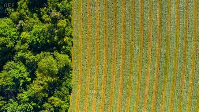 Aerial view of an agricultural field after harvest in late autumn in Naperville, IL in the United States.