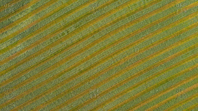 Aerial view of an agricultural field after harvest in late autumn in Naperville, IL in the United States.
