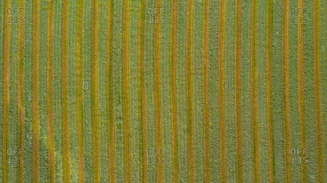 Aerial view of an agricultural field after harvest in late autumn in Naperville, IL in the United States.