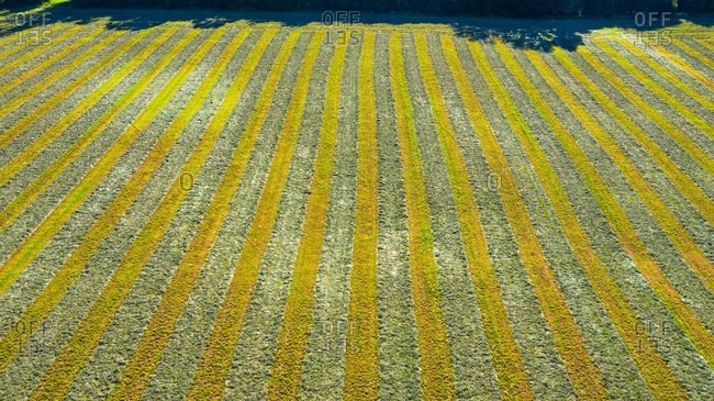 Aerial view of an agricultural field after harvest in late autumn in Naperville, IL in the United States.