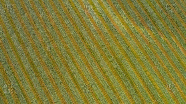 Aerial view of an agricultural field after harvest in late autumn in Naperville, IL in the United States.