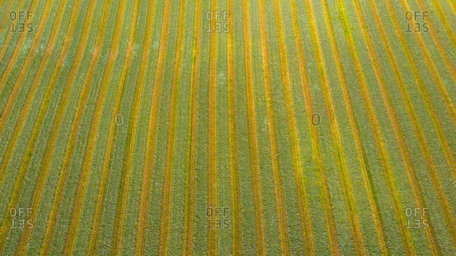 Aerial view of an agricultural field after harvest in late autumn in Naperville, IL in the United States.