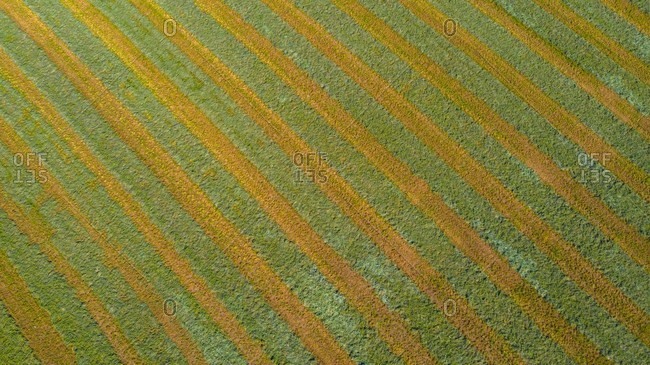 Aerial view of an agricultural field after harvest in late autumn in Naperville, IL in the United States.