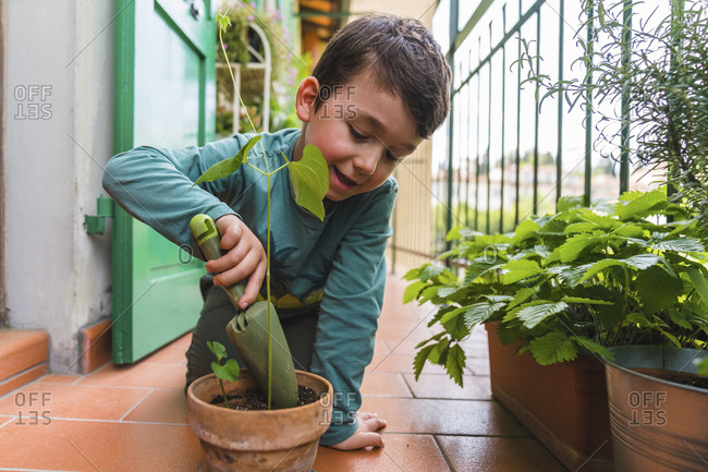 Little boy gardening on balcony