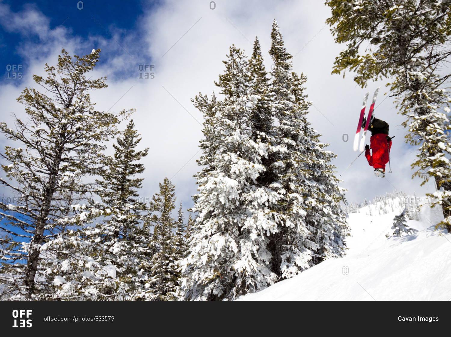 Male Skier Does A Back Flip At Whitefish Mountain Resort In Whitefish, Montana