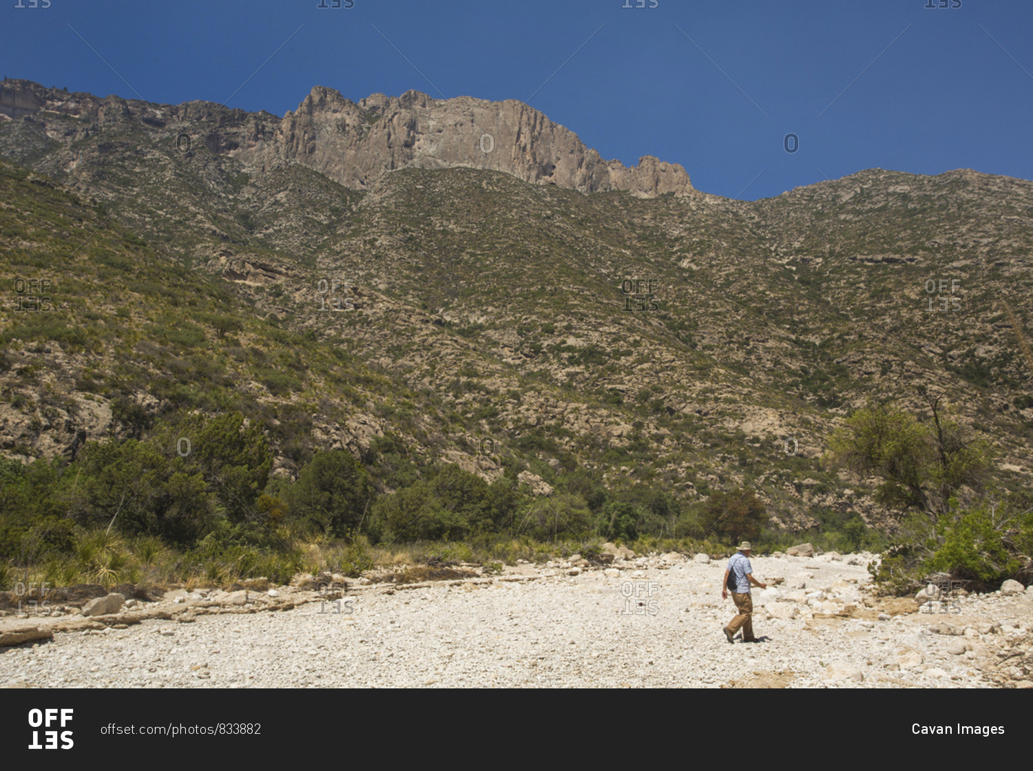 GUADALUPE MOUNTAINS NATIONAL PARK, TEXAS, USA. An older gentleman wearing a wide-brim hat walks across a dry sandy wash in a desert mountain scene.