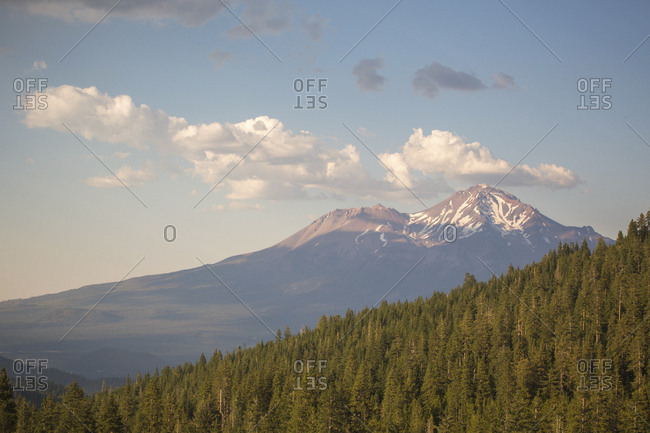 Forest and mountain peak, Shasta, California, USA