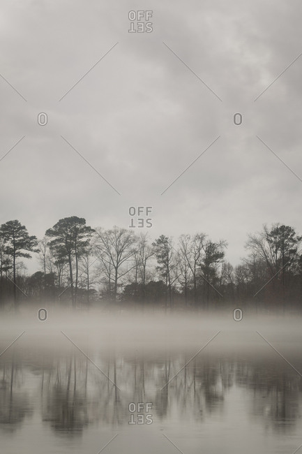 Lakeside tress shrouded in fog in North Carolina.