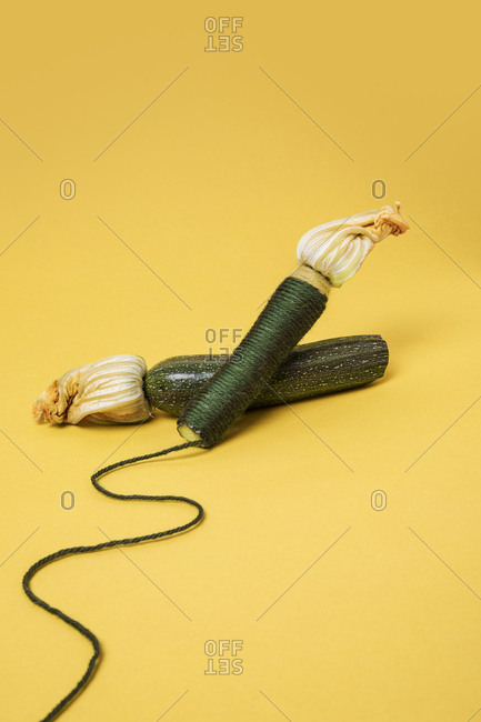 Fresh picked zucchinis one wrapped in yarn