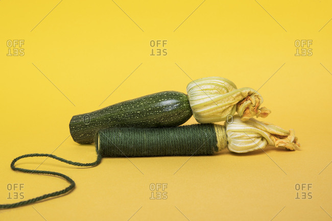Two zucchinis one wrapped in yarn