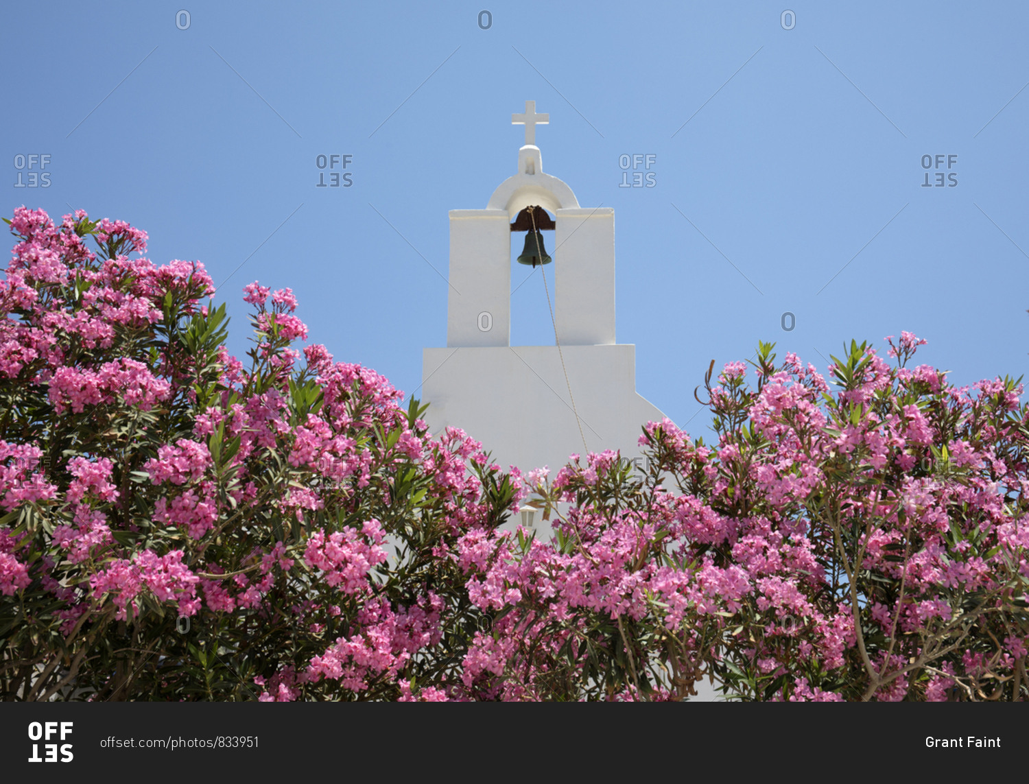 Church bell tower and pink flowers, Folegandros Island, Cyclades, Greece