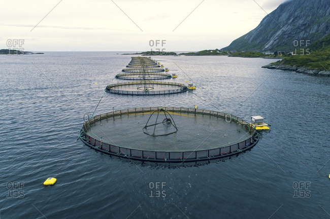 Norway, Lofoten Islands. M�lnarodden Salmon fishery