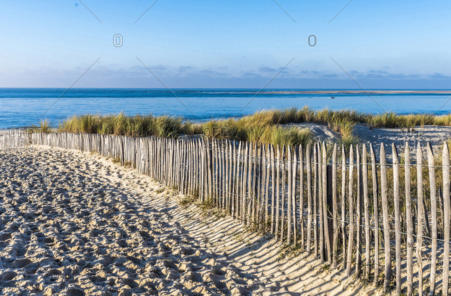 France, New Aquitaine, Arcachon Bay, Petit Nice beach, sand fences (ganivelle) against erosion