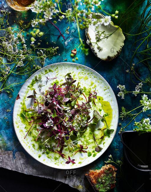 Arugula and amaranth on plate surrounded by flowering cilantro