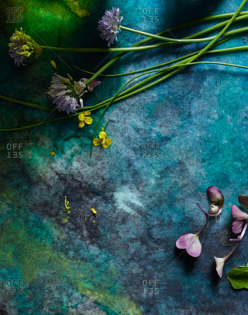 Blue background set with flowers