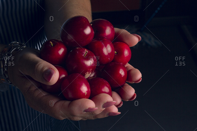 Crop hands with ripe cherries