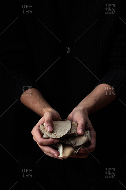 Fresh fragrant mushrooms gathered by hands on black background