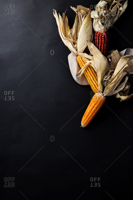 From above appetizing yellow and red raw corn with big dry husks on black background