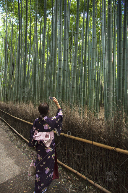 Woman Photographing At The Arashiyama Bamboo Grove In Kyoto